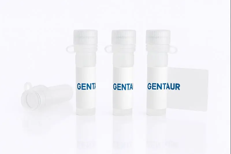 EpCAM/TROP1, Human (Biotinylated, HEK293, His-Avi)