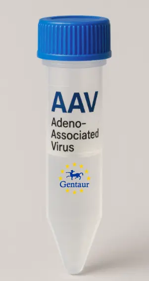 BEX2 AAV Vector (Mouse) (CMV)